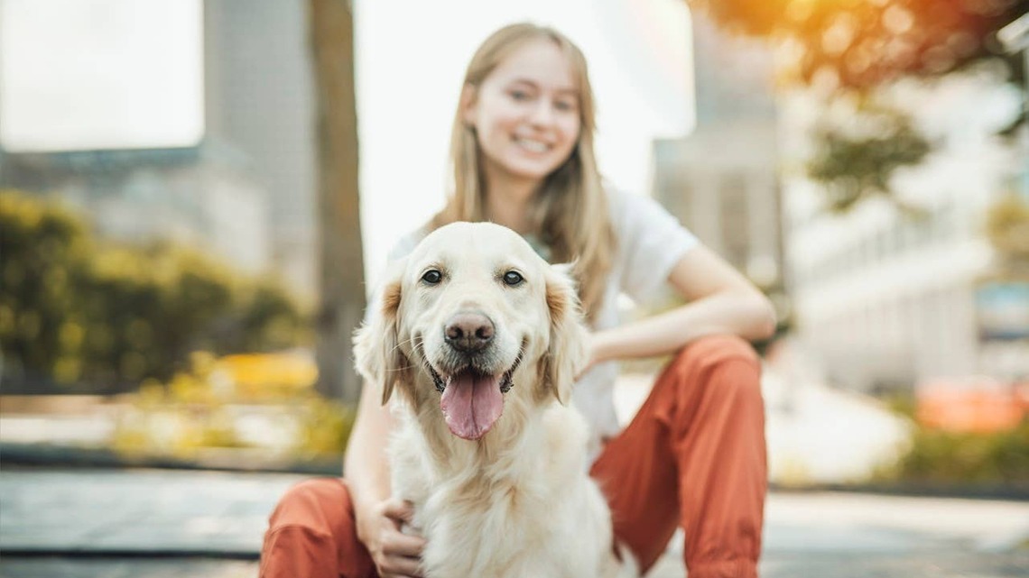 The 7 Prettiest Big Dogs, According to Experts