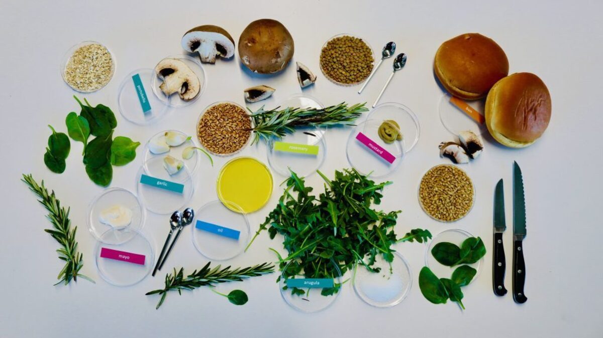  AI-designed sustainable burger ingredients: BurgerAI selected these ingredients by optimizing for environmental sustainability while maintaining consumer appeal. The resulting mushroom-based recipe combines portobello mushrooms, arugula, rosemary, grains, and condiments to achieve an environmental impact more than an order of magnitude lower than a popular fast food burger. (Living Matter Lab via SWNS) 