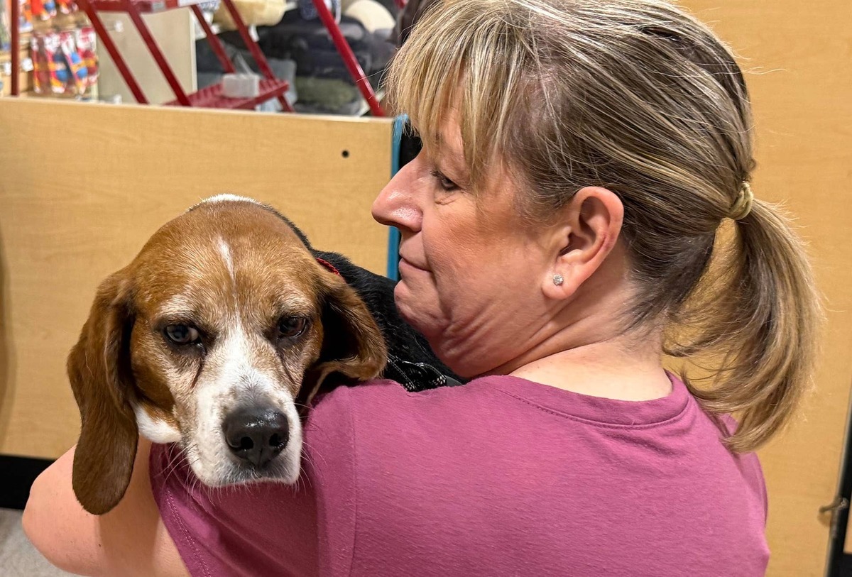  A member of Basset and Beagle Rescue of the Heartland says goodbye as Honey prepares for her cross-country journey.