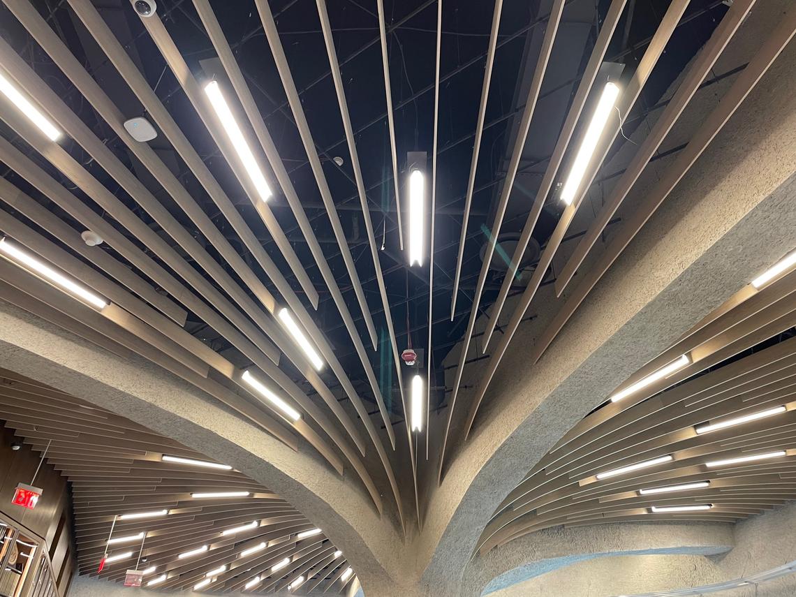  The architecture of the Gilder Center is stunning. This is the Research library’s ceiling. Photo credit: Judy Antell 