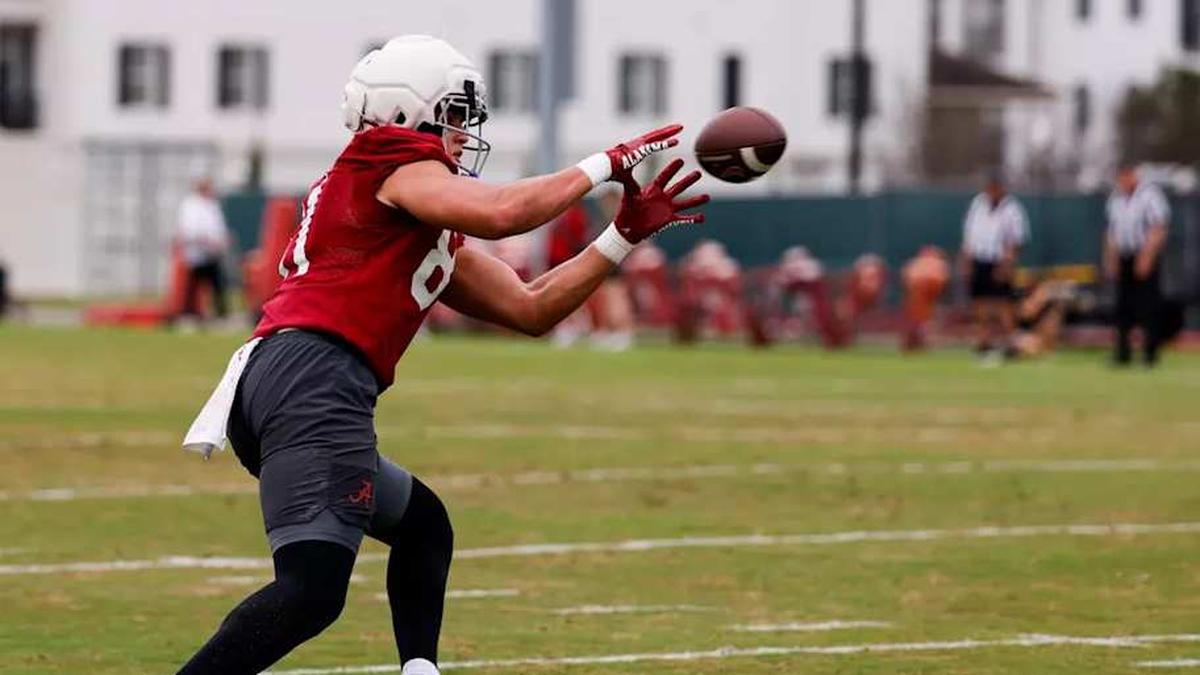  Alabama Tight End Kaleb Edwards (81) during practice Spring Practice at Thomas-Drew Practice Fields in Tuscaloosa, AL on Tuesday, Mar 10, 2026. | Photo by Crimson Tide Photos / UA Athletics 