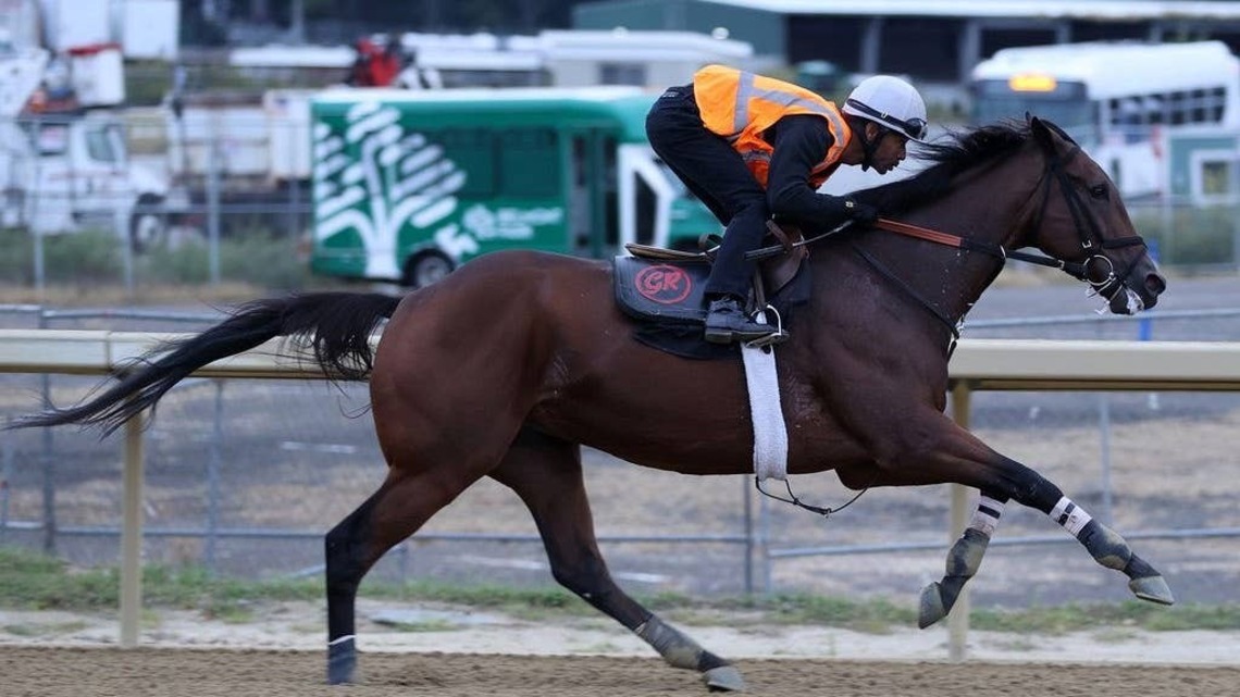'Love What I Saw': Phileas Fogg Pleases In Belmont Breeze Toward Breeders' Cup 