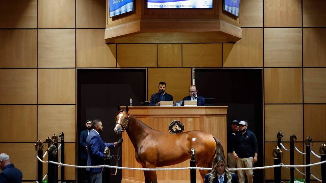 Fasig-Tipton's 2026 Kentucky October Yearlings Catalog Now Online 