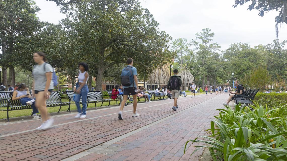 We teach at a Florida university that agreed to cooperate with ICE – and we worry that it is making our students feel less safe 
