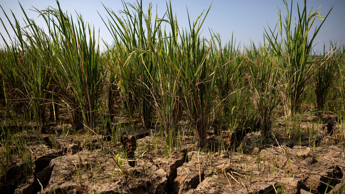 Emerging markets stare at inflation risks as powerful El Niño looms 