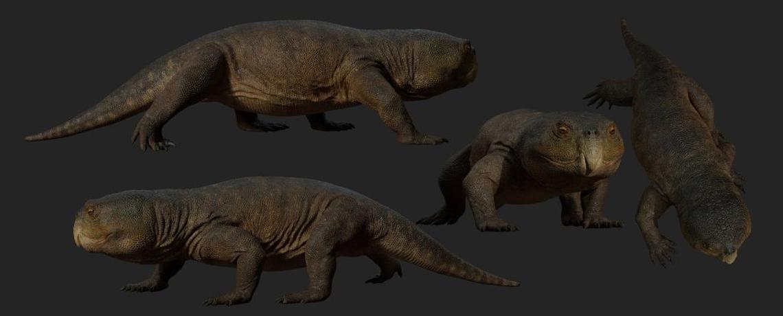  Digital illustration of a Isodapedon Varzealis. (Caio Fantini via SWNS) 