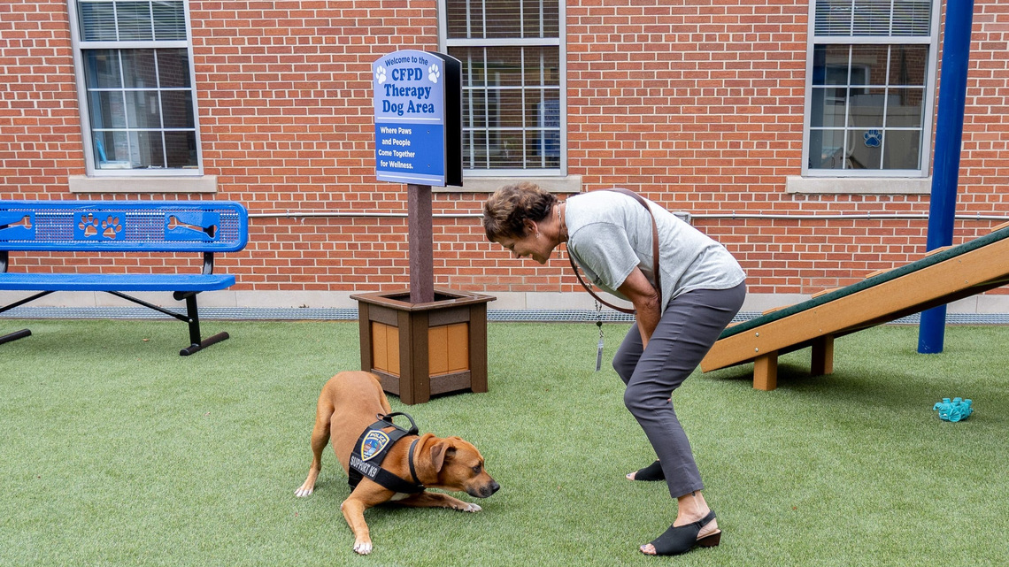 Cuyahoga Falls Police Department adds furry friend to its roster
