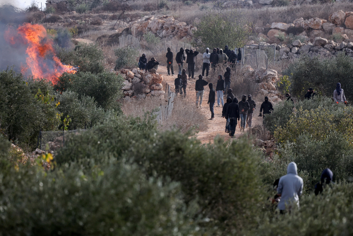 Israeli settlers steal Palestinians' olives as attacks on harvest grow ...