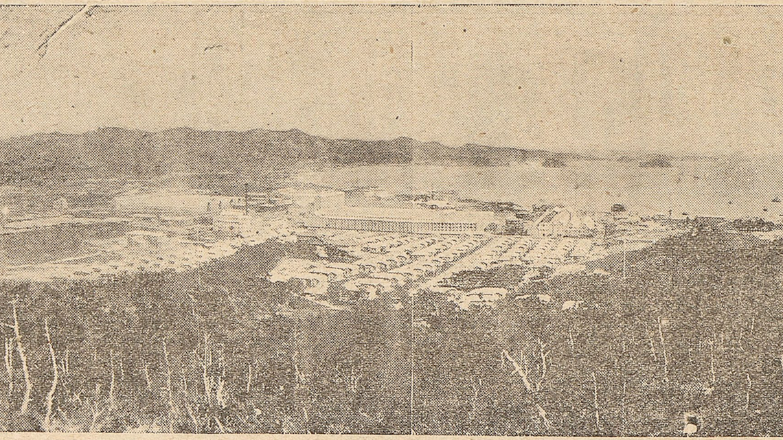 How Imperial Japan turned to the sardine to help build a war machine 