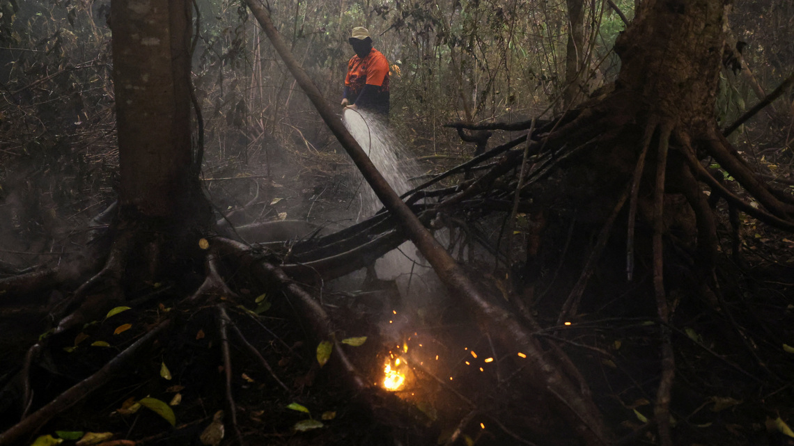 Indigenous, civil-society groups sue Prabowo over forest fire response