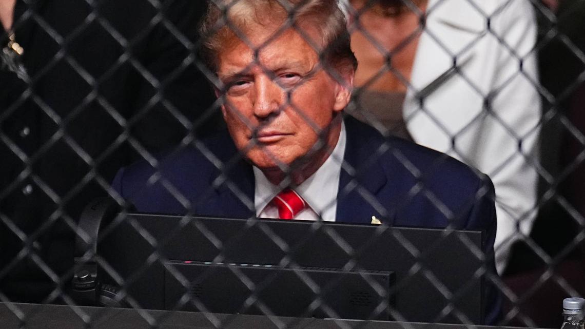 President Trump Under Fire For Purchasing Stock Ahead Of White House's UFC Event 