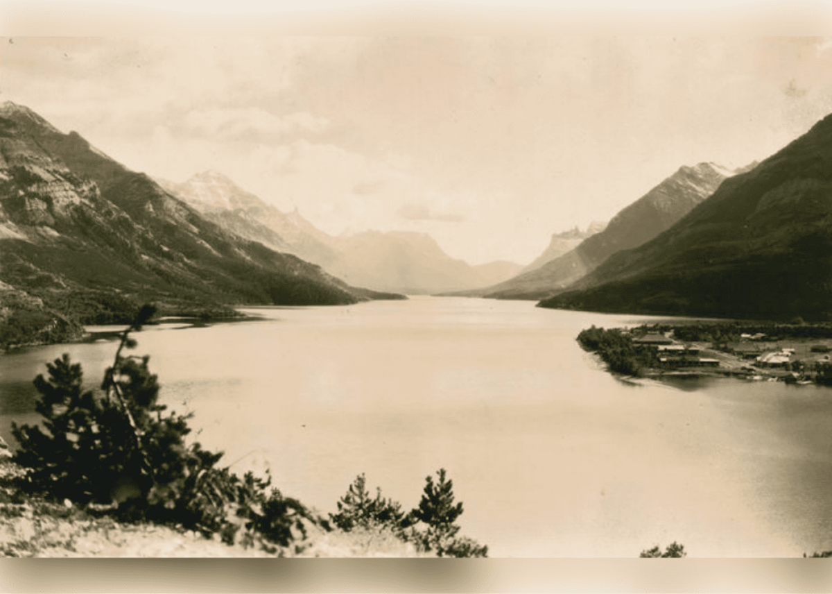  Hileman, T. J. // New York Public Library 