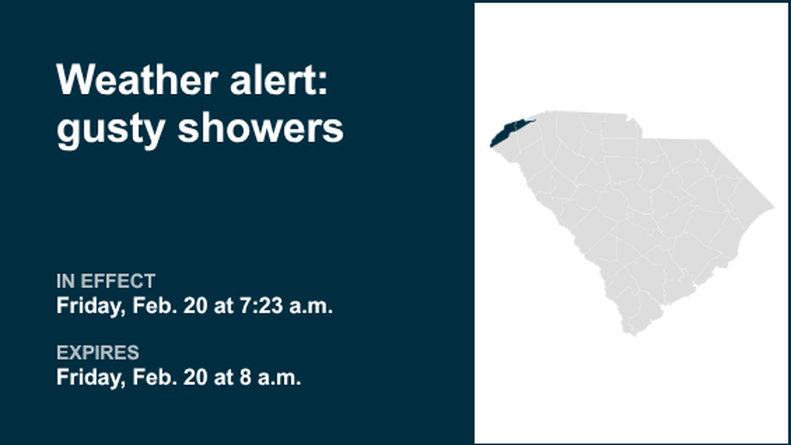 UPDATE: Weather alert affecting York County Friday midday - gusts could peak at 50 mph 