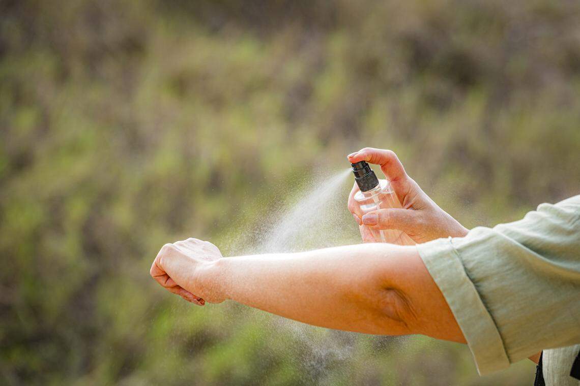 Ticks are sending more people to the hospital than ever in GA. Here’s what to do