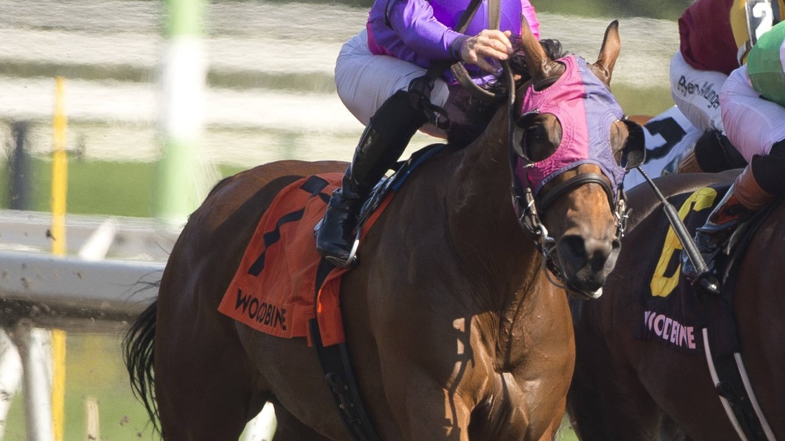Souped Up Prevails In Thrilling Stretch Battle For Bold Venture 