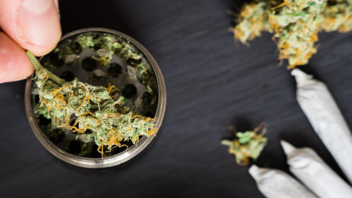 UCSD marijuana study affirms drug's negative effect on youth 