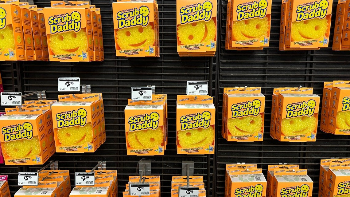 Scrub Daddy Was Rejected by 3M and Left in a Box for 3 Years; Then, It Became a $220 Million Cleaning Empire 