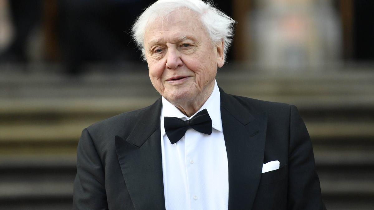 David Attenborough attends the London premiere of "Our Planet" on April 4, 2019. The TV personality turns 100 on May 8. File Photo by Neil Hall/EPA-EFE
