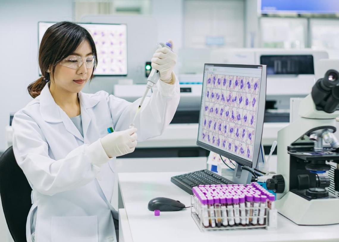  Natee K Jindakum // Shutterstock 