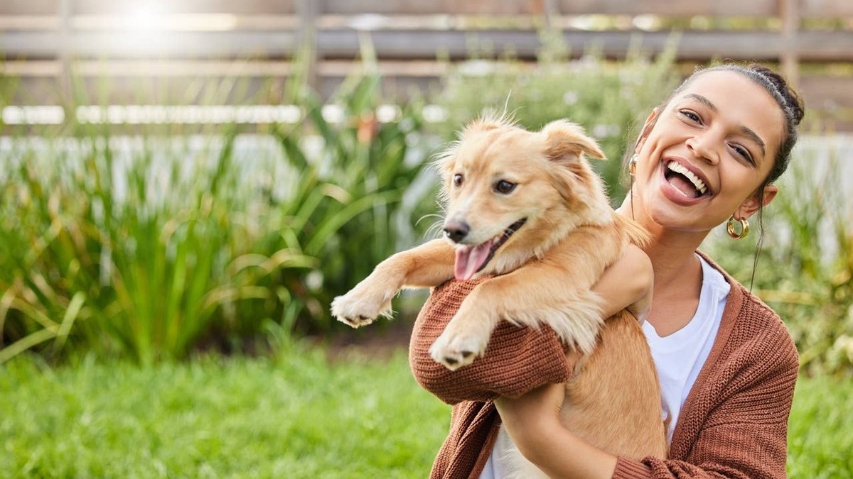 7 Adorable Signs Your Dog is Smiling on the Inside, According to Experts