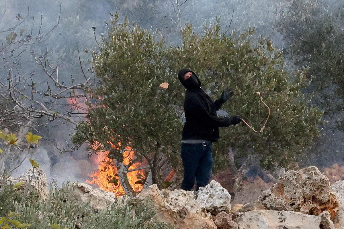 Israeli settlers steal Palestinians' olives as attacks on harvest grow ...