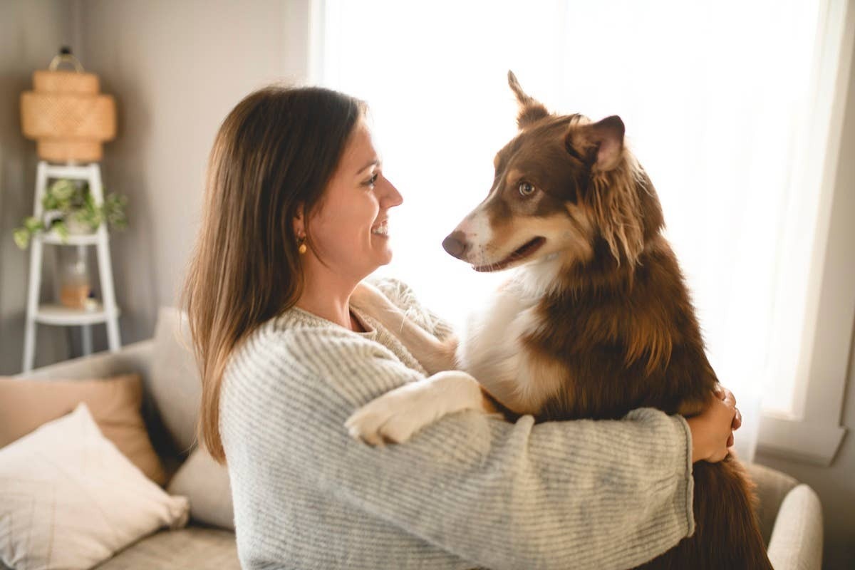  Dogs communicate love and appreciation through everyday behaviors and body language.