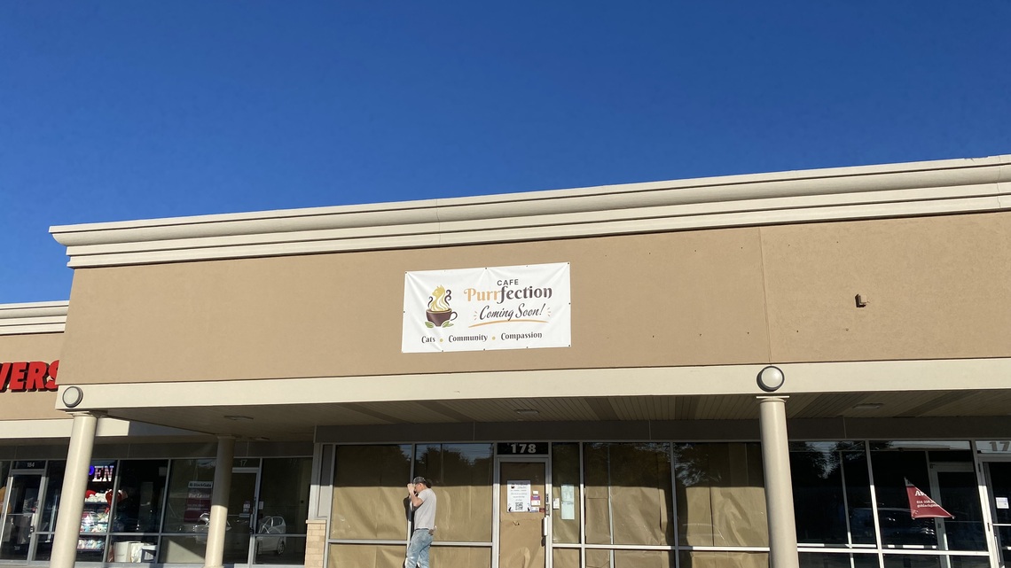 A new cat cafe is opening in Naperville later this fall