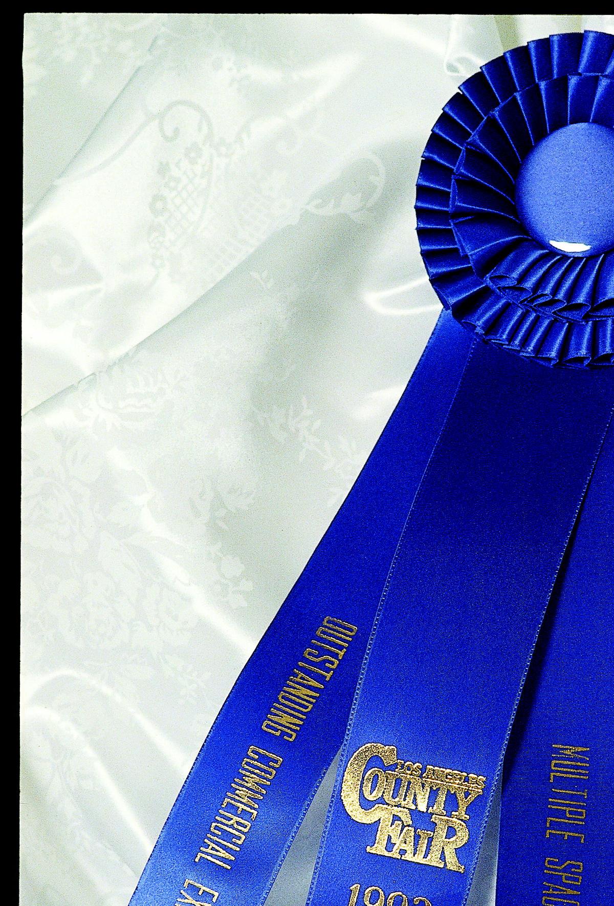Sandra Lee’s life was changed when she won a blue ribbon in 1992 at the Los Angeles County FairSandra Lee