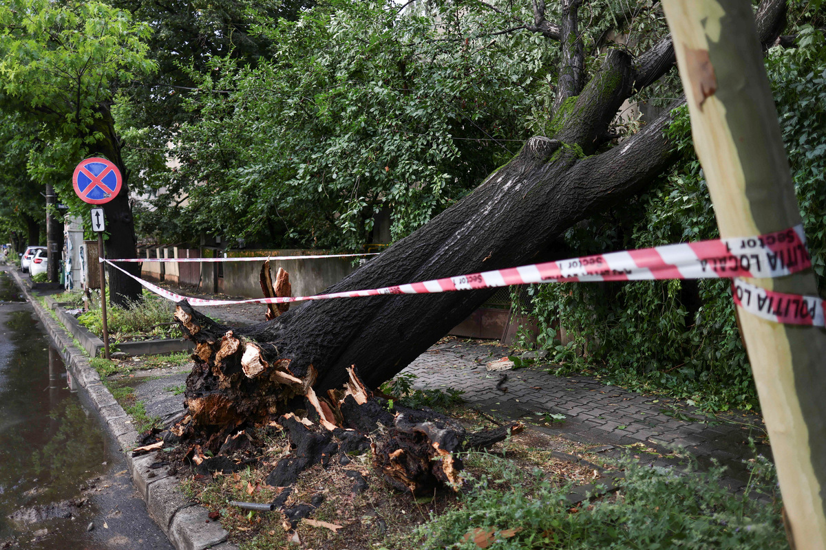An uprooted tree following heavy gusts of wind during a strong storm in northern Bucharest, Romania, July 1, 2026. Inquam Photos/Octav Ganea via REUTERS