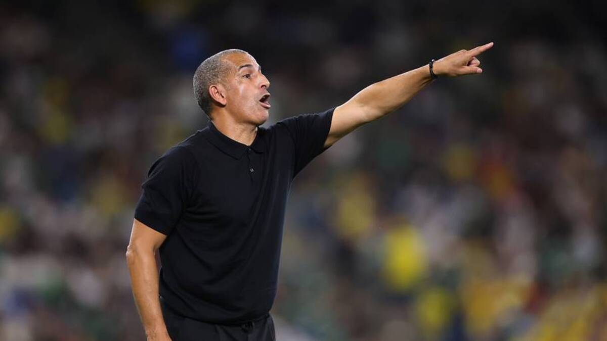  Lamouchi is not the first Tunisia manager to be fired during a World Cup. | Hector Vivas/FIFA/Getty Images 