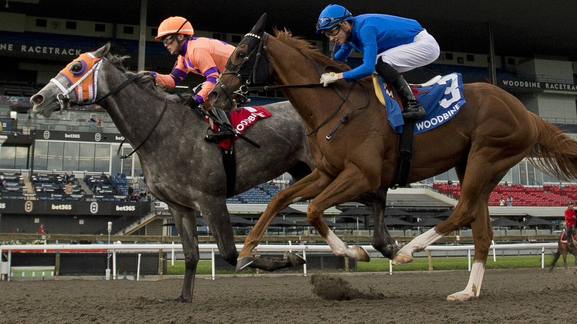 William T Denies Maycocks Bay In Durham Cup