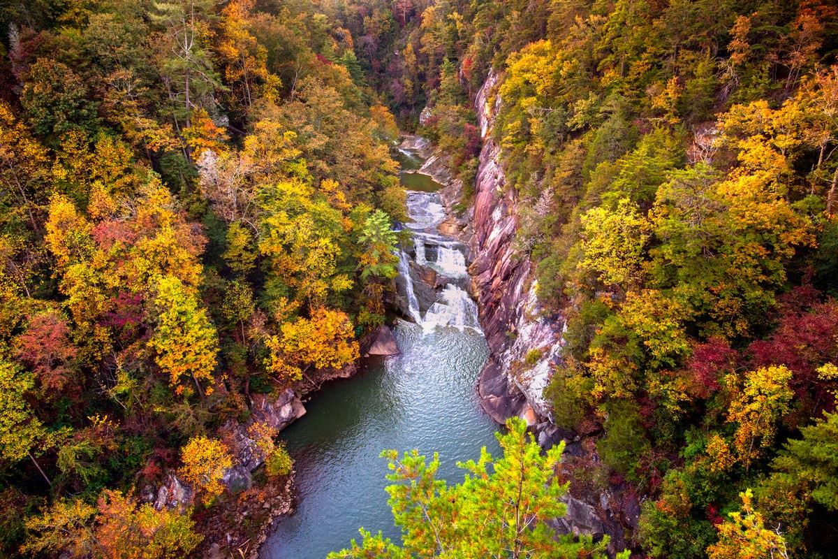  Copperhead snakes can be spotted near waterfalls in this state park.
