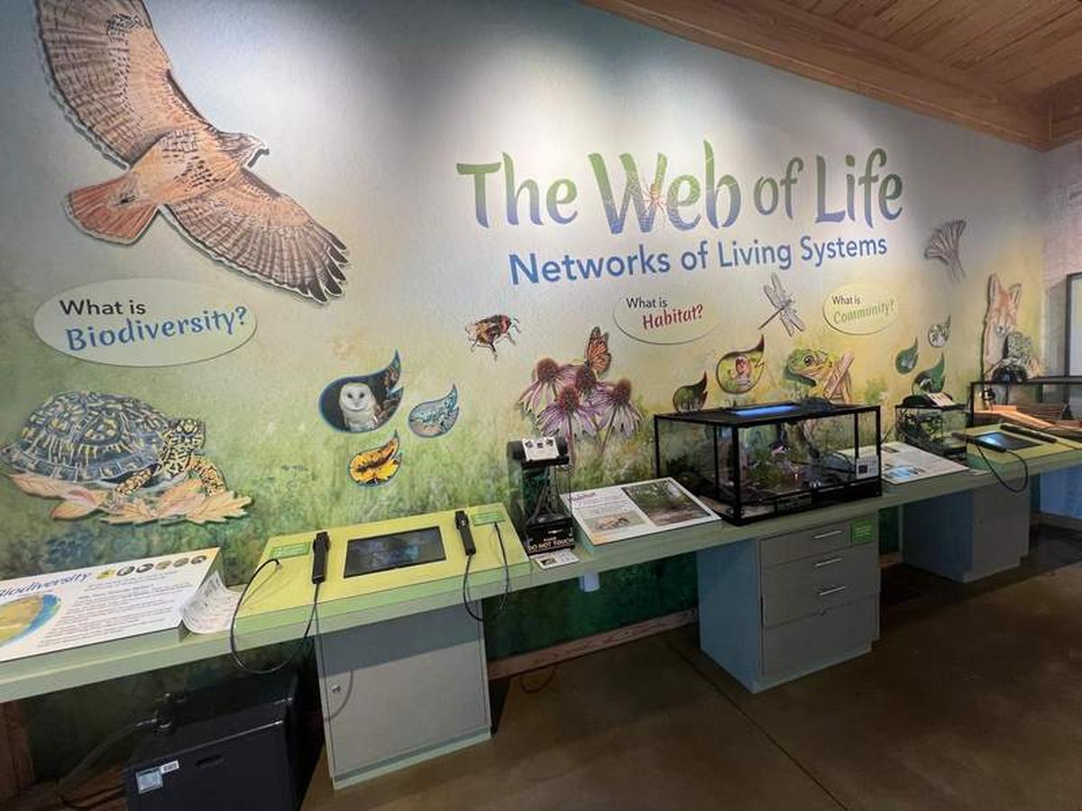  Discover ecosystems and learn about biodiversity at the Nature Center. Photo credit: Kimberly Stroh 