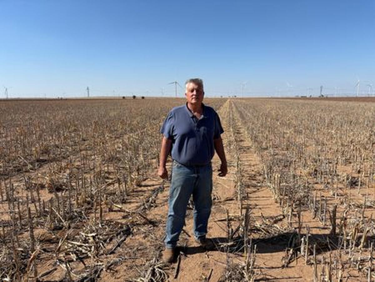 Tom Gregory, who is facing increased costs for fuel, fertilizer and irrigation, on his farm in Petersburg, Texas, U.S., April 21, 2026. REUTERS/Tom Polansek
