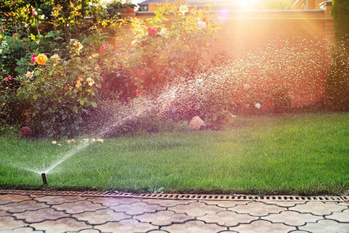  Motion-activated sprinklers are a humane way to deter cats from entering yard spaces.