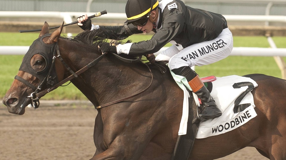 Bison City Winner Katie's Grace Returns For Final Leg Of Canadian Triple Tiara 