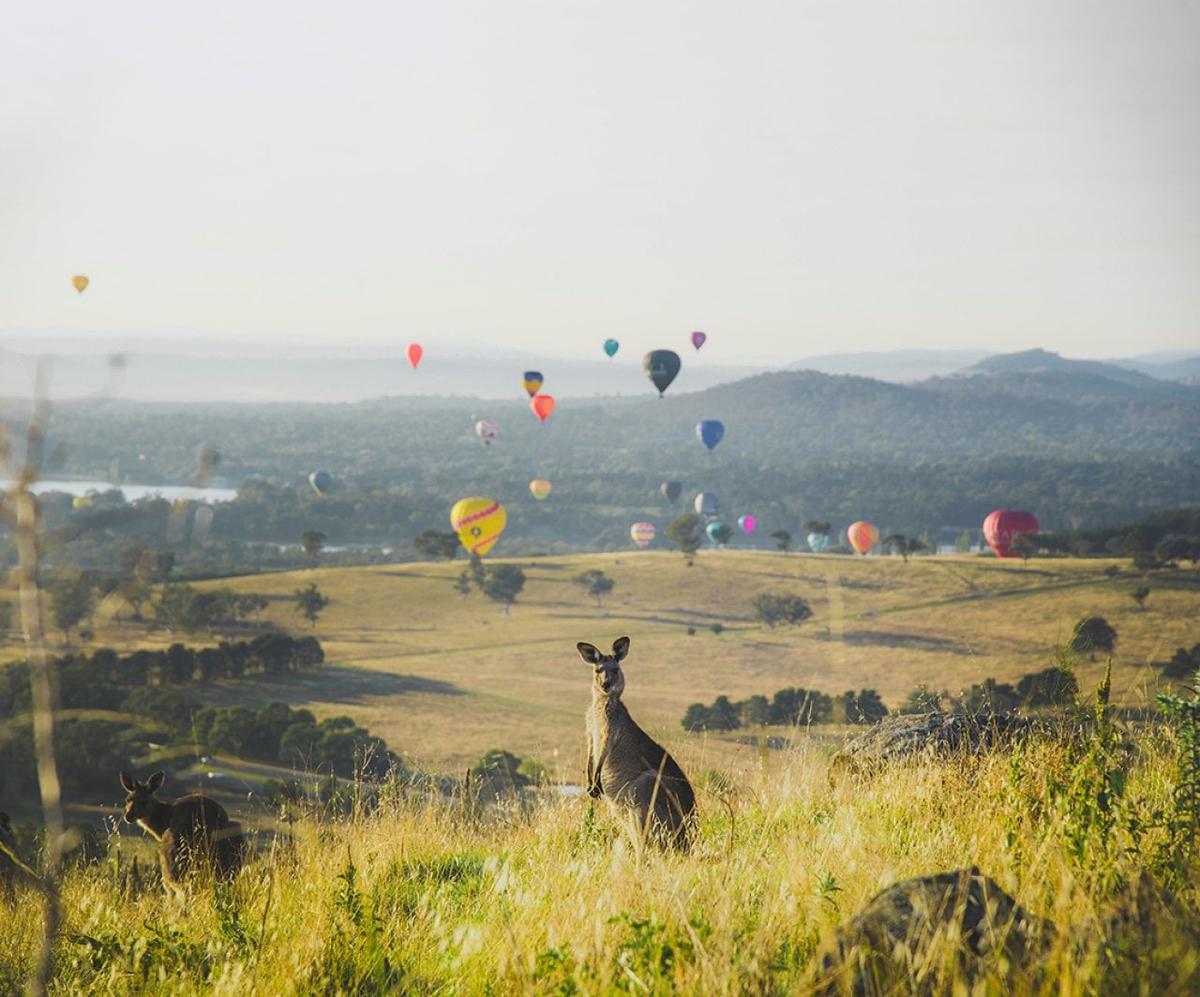  VisitCanberra 