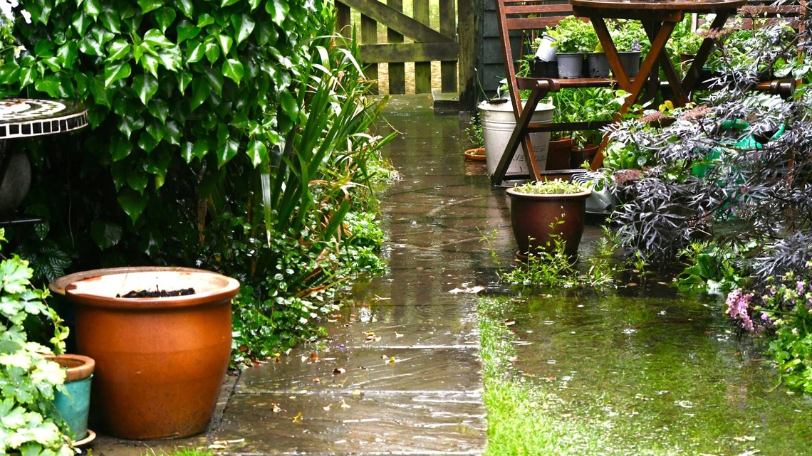 Can Fall Rain Rot Your Bulbs and Veggies? How To Tell When Your Garden Soil Is Too Wet