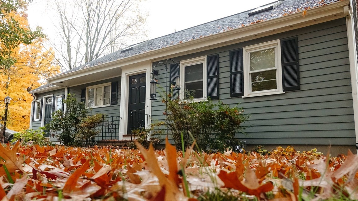 Mice Are About to Start Coming Inside-Pest Experts Say to Do These 6 Things Now 