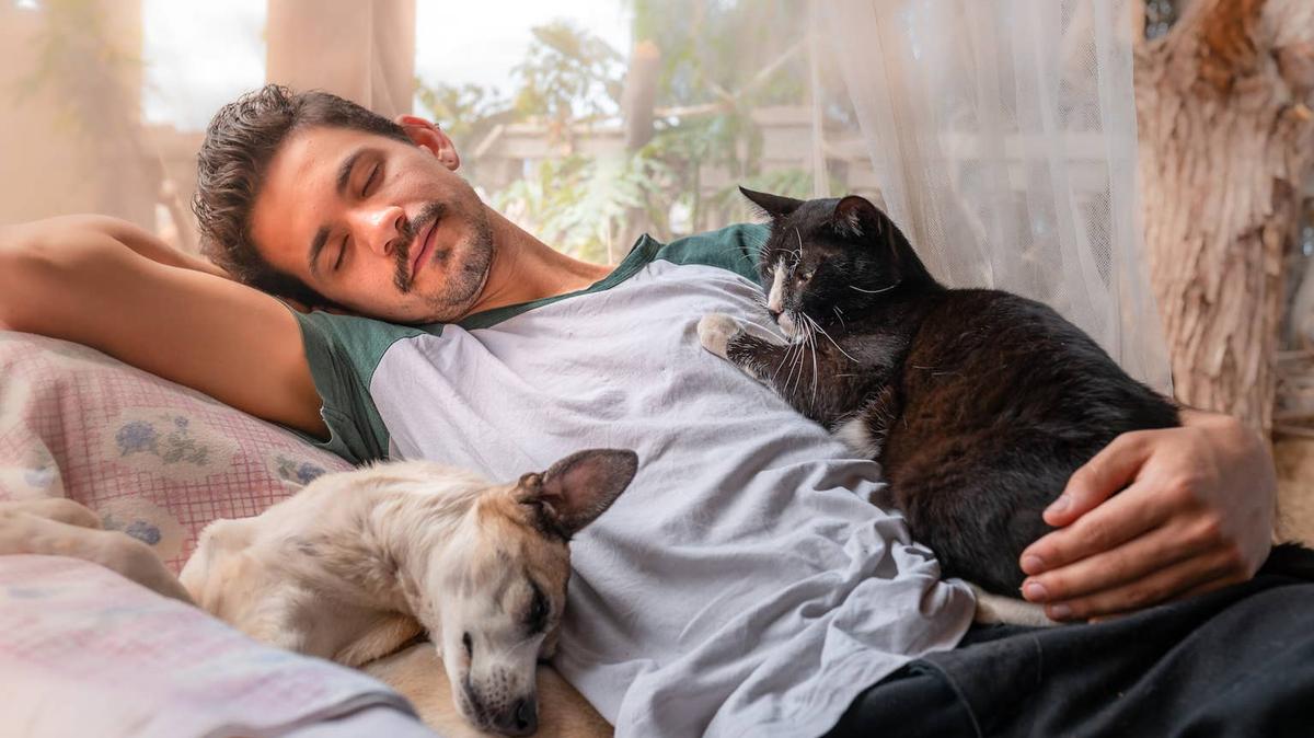 man with dog and cat.