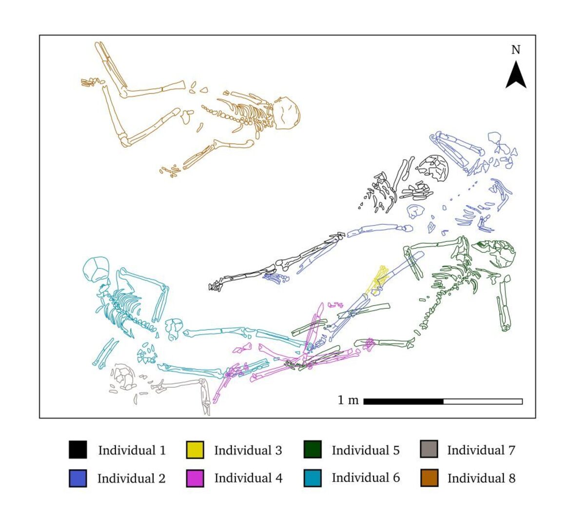  The spatial arrangement of human remains recovered from a destruction deposit in the Lower Town East Palace at Kurd Qaburstan. (Andrea Zurek-Ost / Kurd Qaburstan Project via SWNS) 
