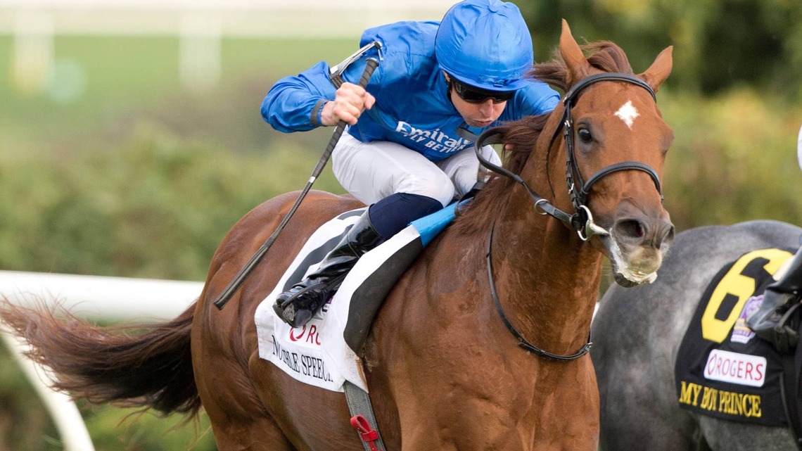 'Straight To The Breeders' Cup Now': Notable Speech Cruises Clear In City Of York 