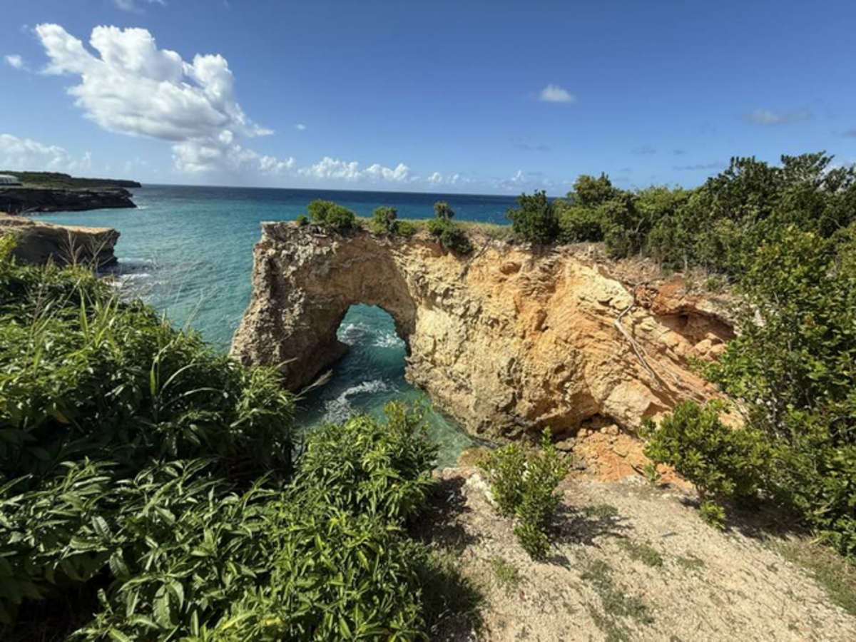 Beautiful, wild Anguilla. Photo credit: Jill Robbins