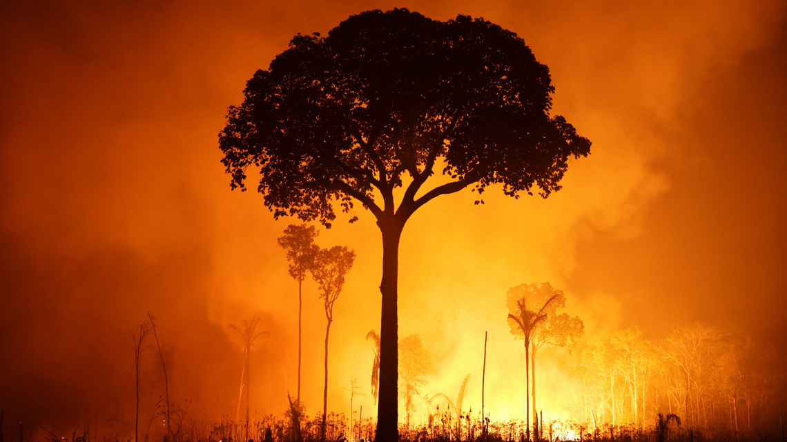 Global warming is accelerating, leading climate scientist Rockström says