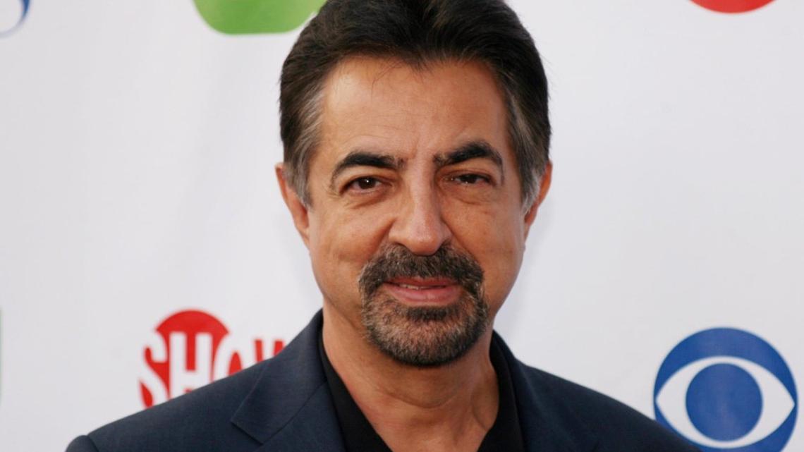Joe Mantegna drops out of hosting National Memorial Day Concert 