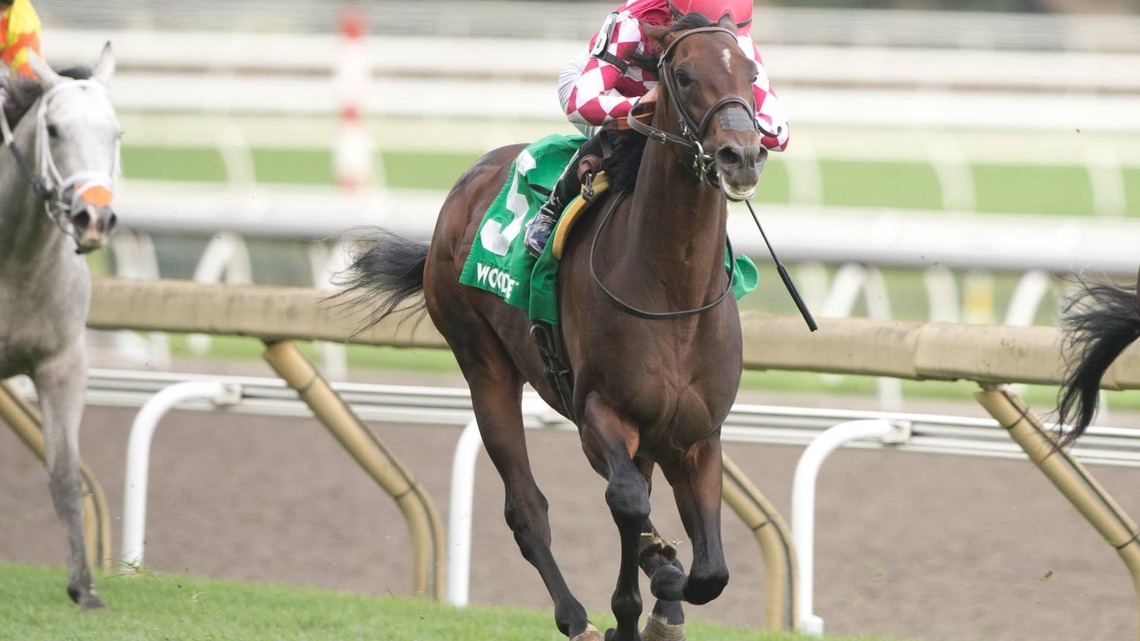 Canada Aces Turf Test In Cup & Saucer Stakes 
