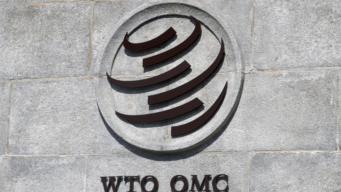 WTO says global trade system at critical juncture, urges reform