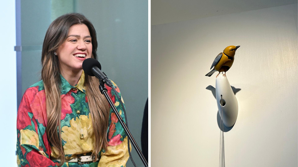 Art of Play lists bird at center of Kelly Clarkson feud for $15M | Exclusive 