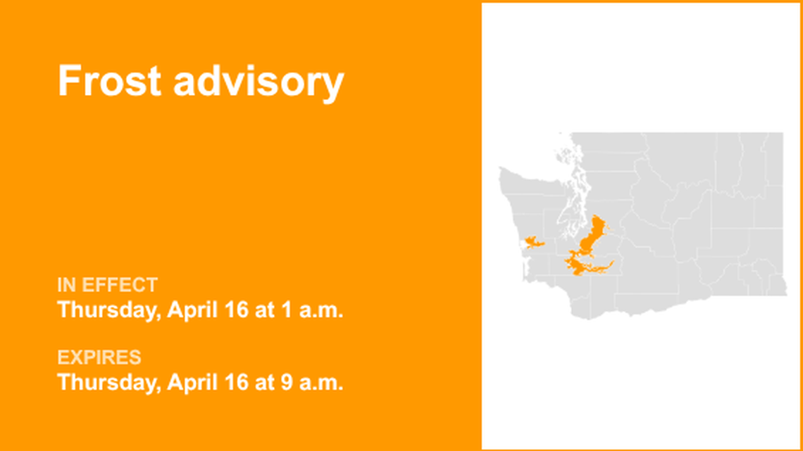 unitedrobots photography