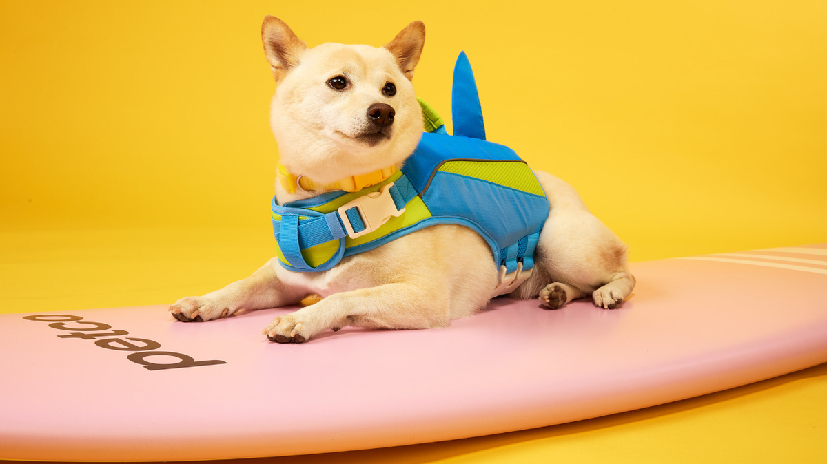 The shark float from Petco's summer collection ensures pups can make a safe splash.
